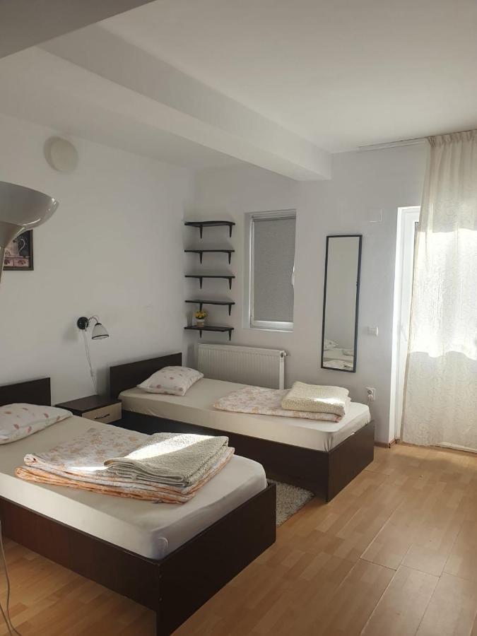 Casa Ana Apartment Cluj-Napoca Exterior photo